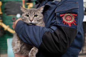 МКП «Чернівцітеплокомуненерго» готове до опалювального сезону